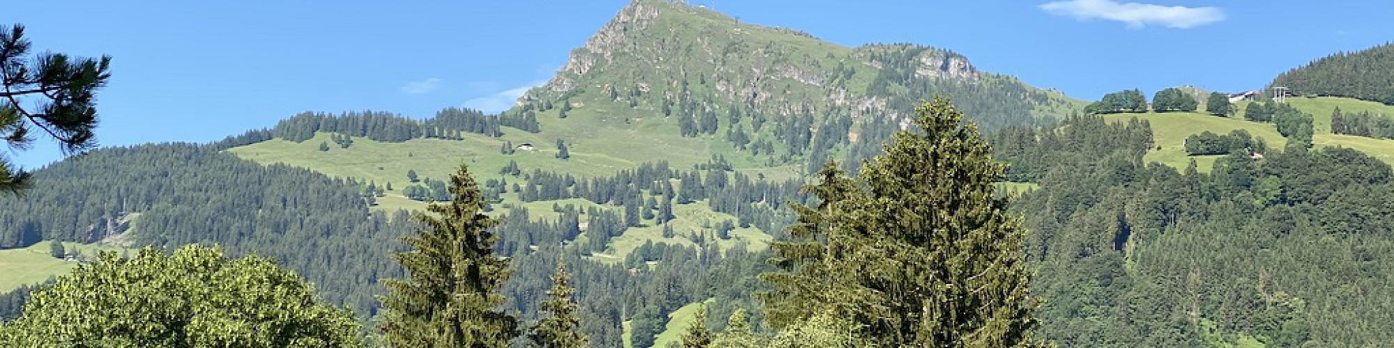 Haus kaufen in Kitzbühel bei Christian Krassnigg Immobilien